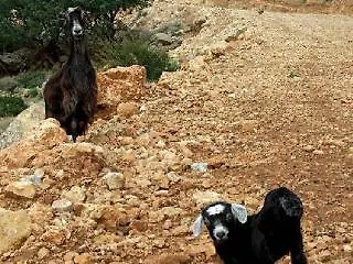 Mediterranea Διαμέρισμα Κάτω Δαράτσο