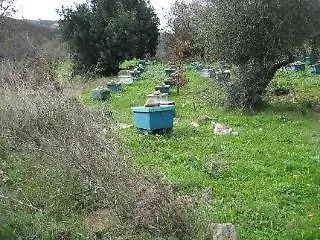 Mediterranea Διαμέρισμα Κάτω Δαράτσο